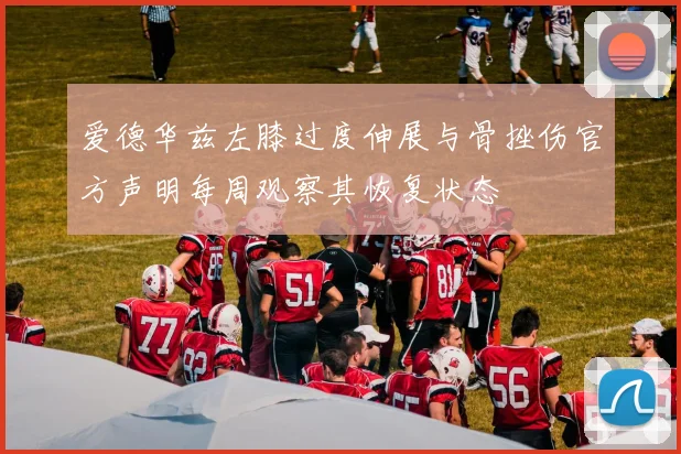爱德华兹左膝过度伸展与骨挫伤官方声明每周观察其恢复状态
